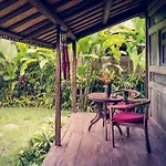 Dragonfly Village