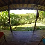 Dragonfly Village