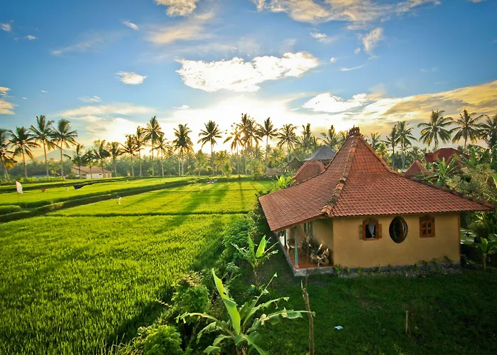 Dragonfly Village