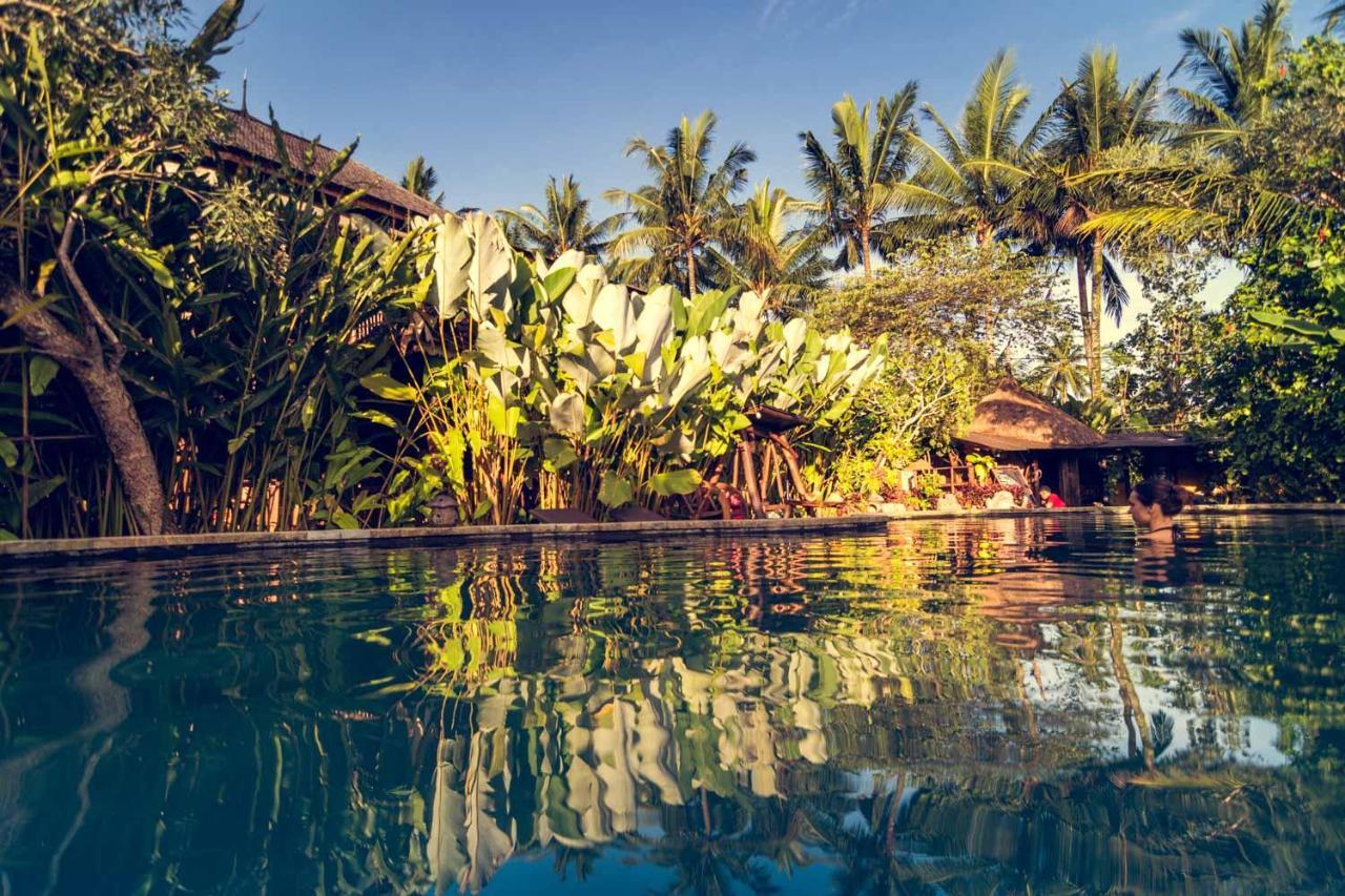 Vakantiepark Dragonfly Village