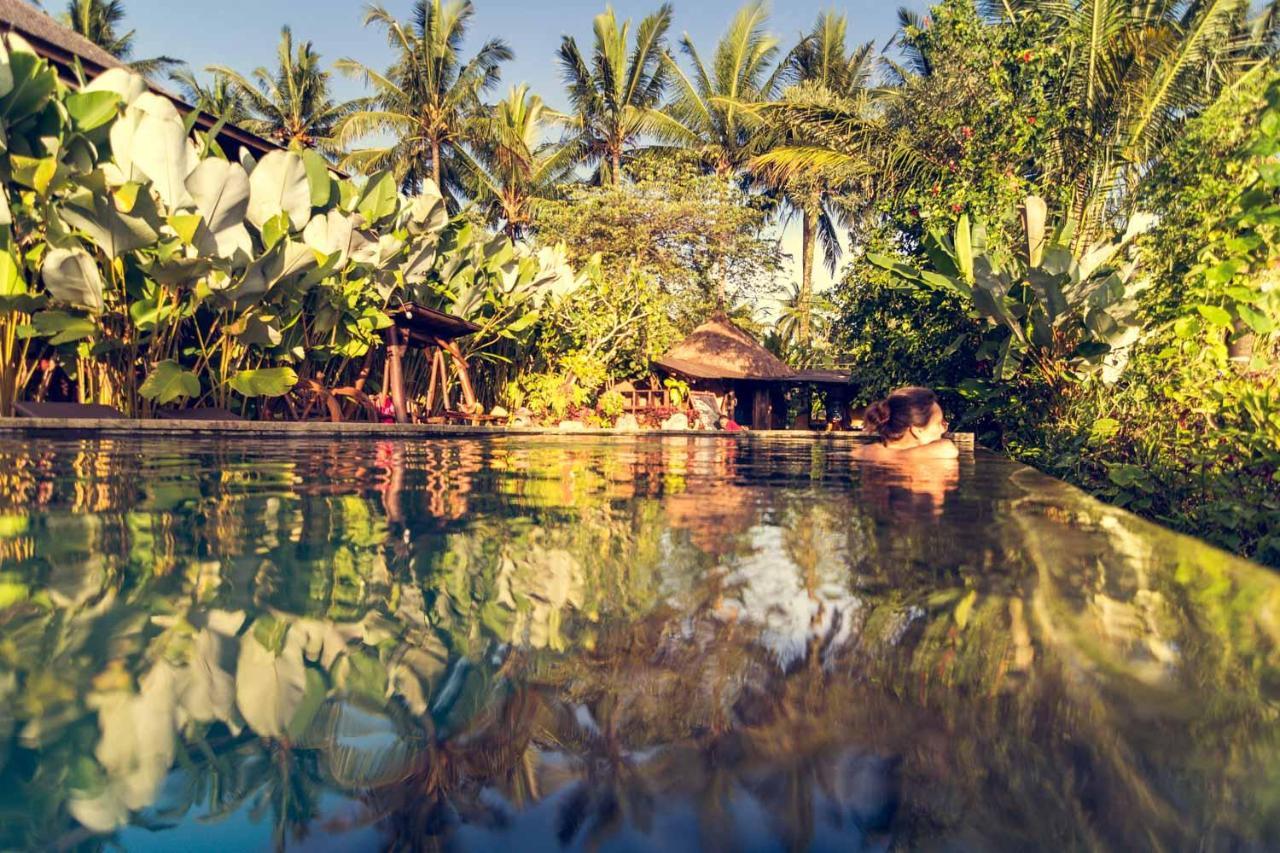 Vakantiepark Dragonfly Village Ubud