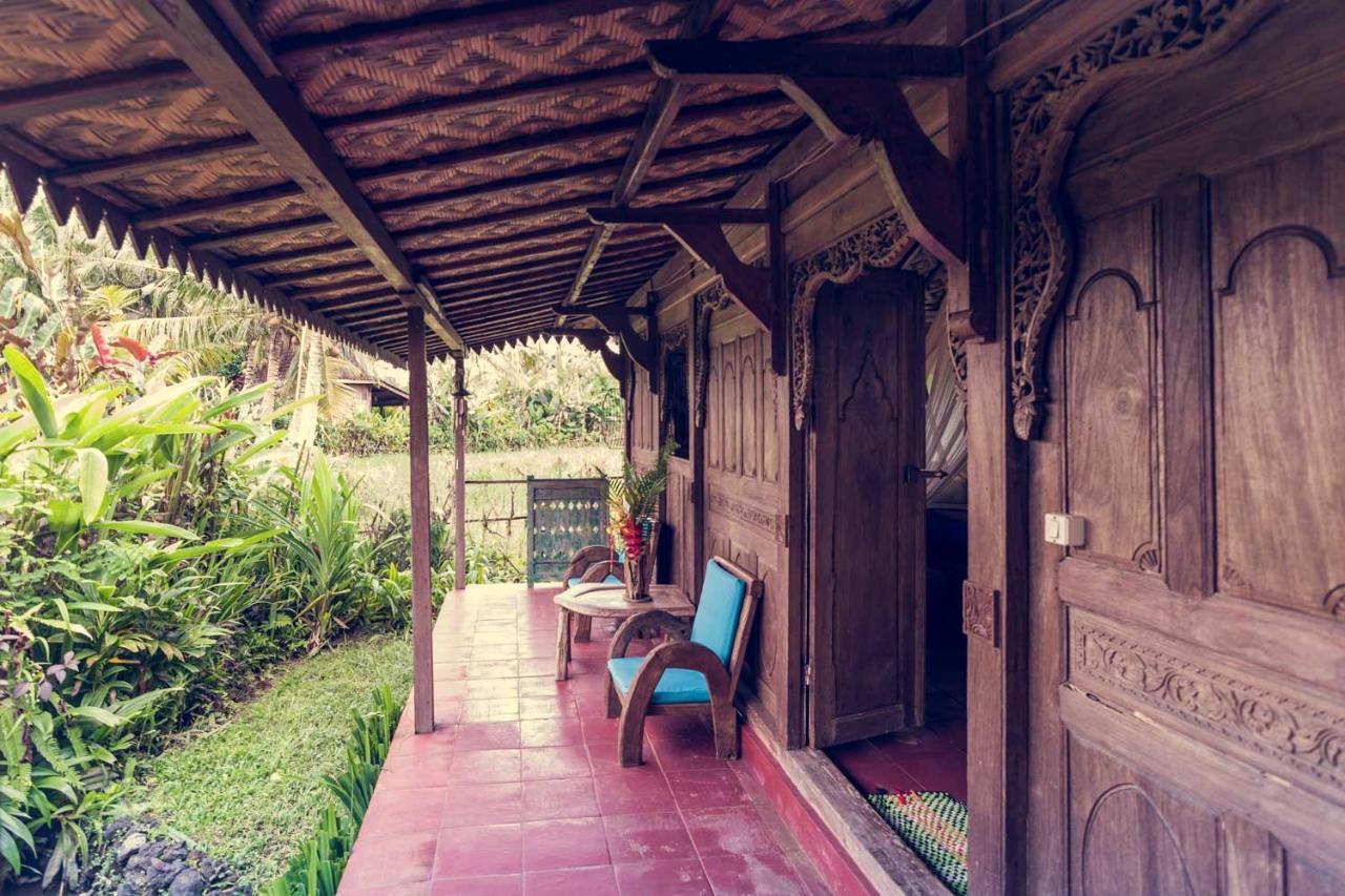 Dragonfly Village Vakantiepark Ubud