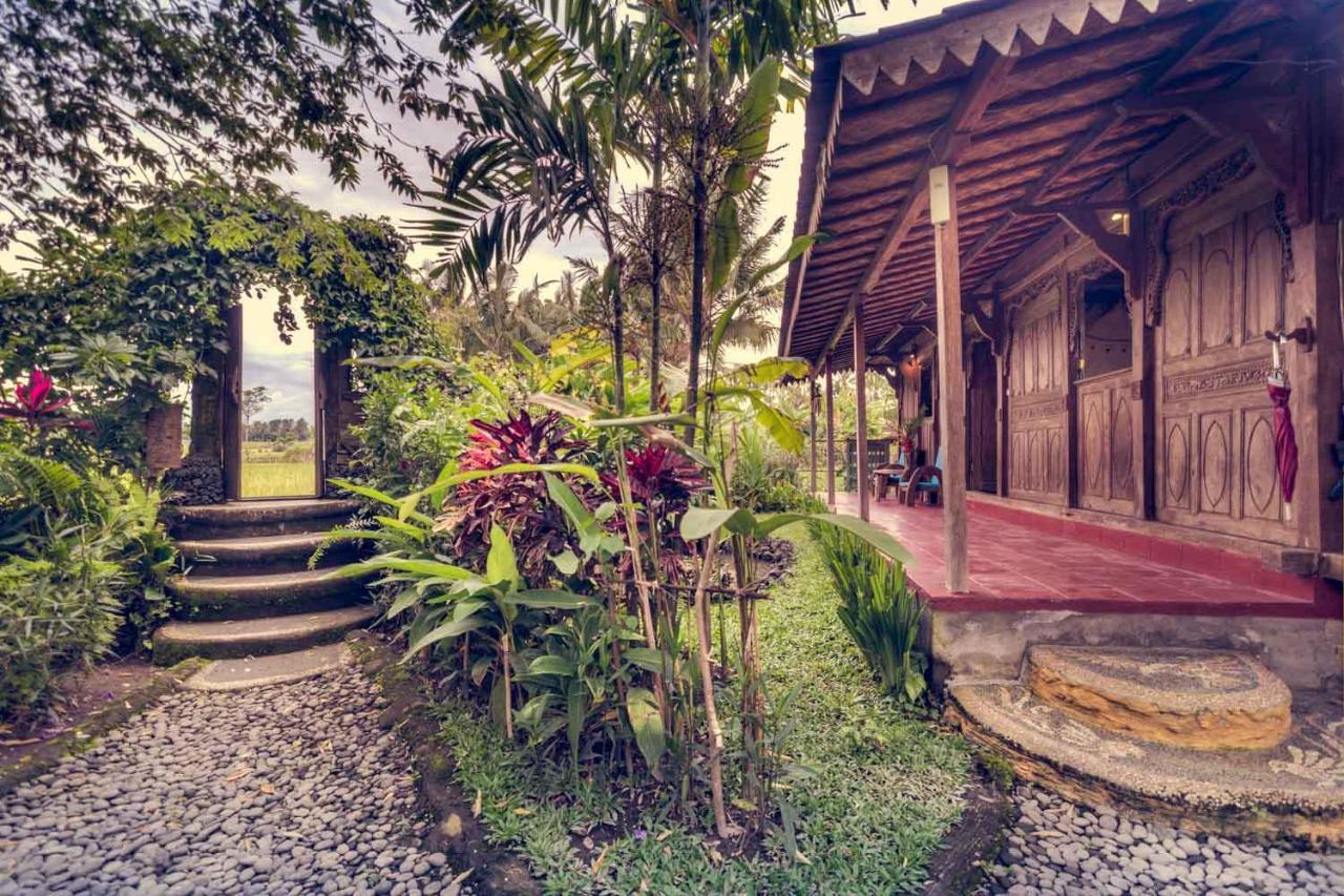 Dragonfly Village Vakantiepark 3*
