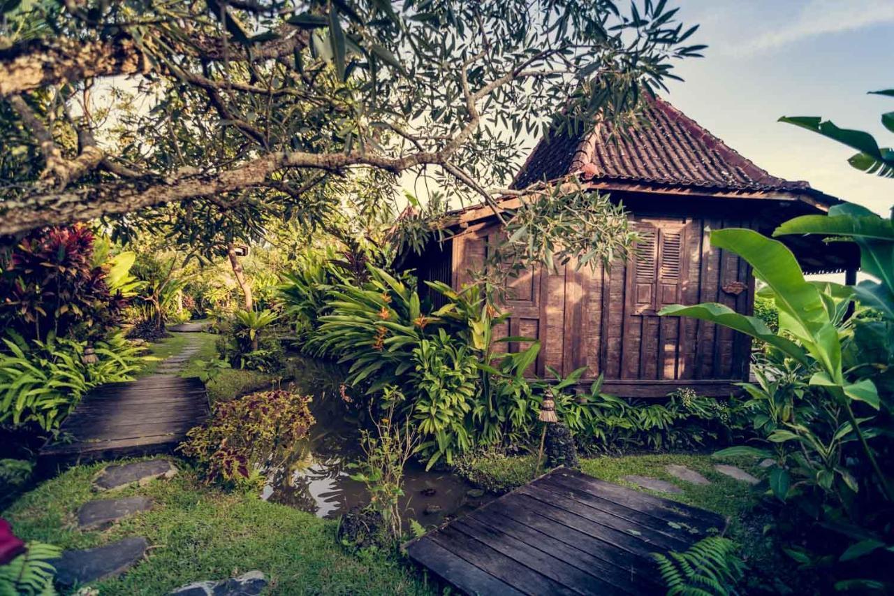Dragonfly Village 3* Ubud