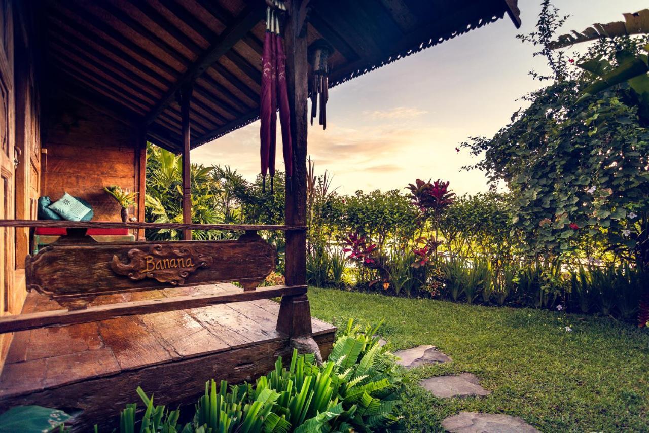 Dragonfly Village 3* Ubud