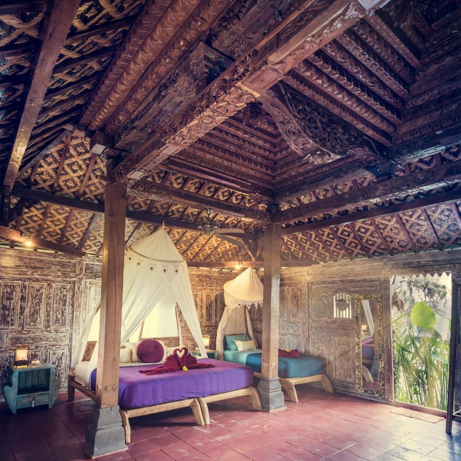 Dragonfly Village 3* Ubud