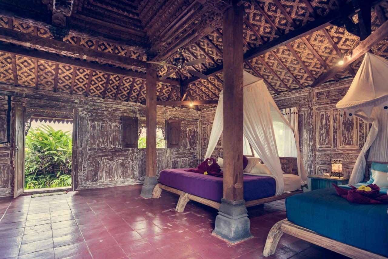 Vakantiepark Dragonfly Village Ubud
