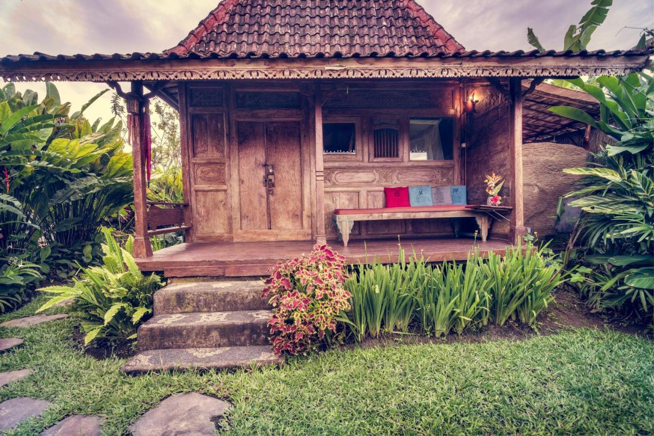 Dragonfly Village Vakantiepark 3*