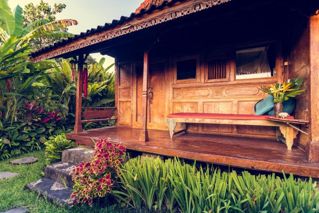 Dragonfly Village Vakantiepark Ubud