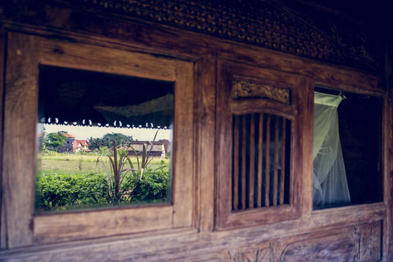 Dragonfly Village Ubud