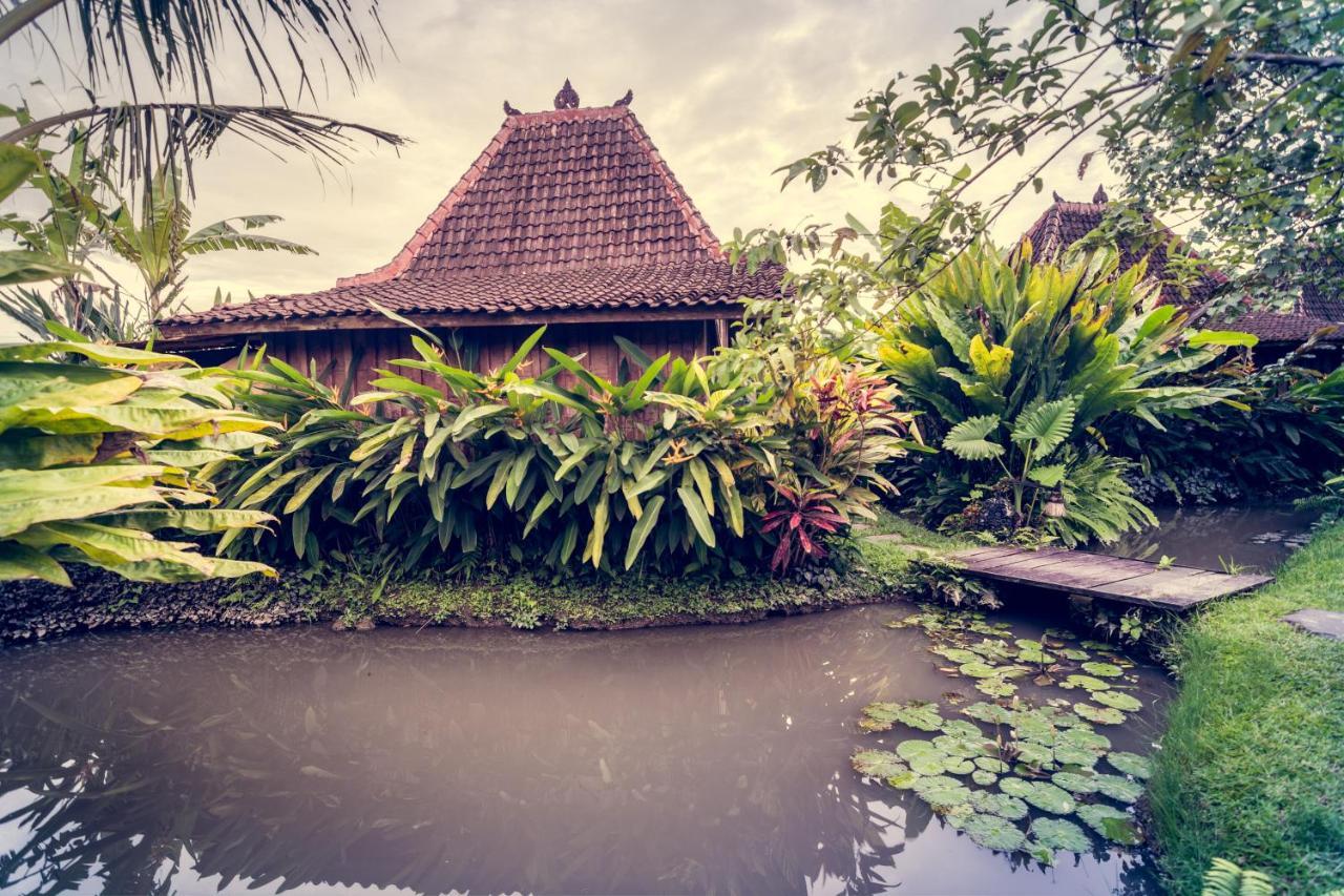 Dragonfly Village Ubud