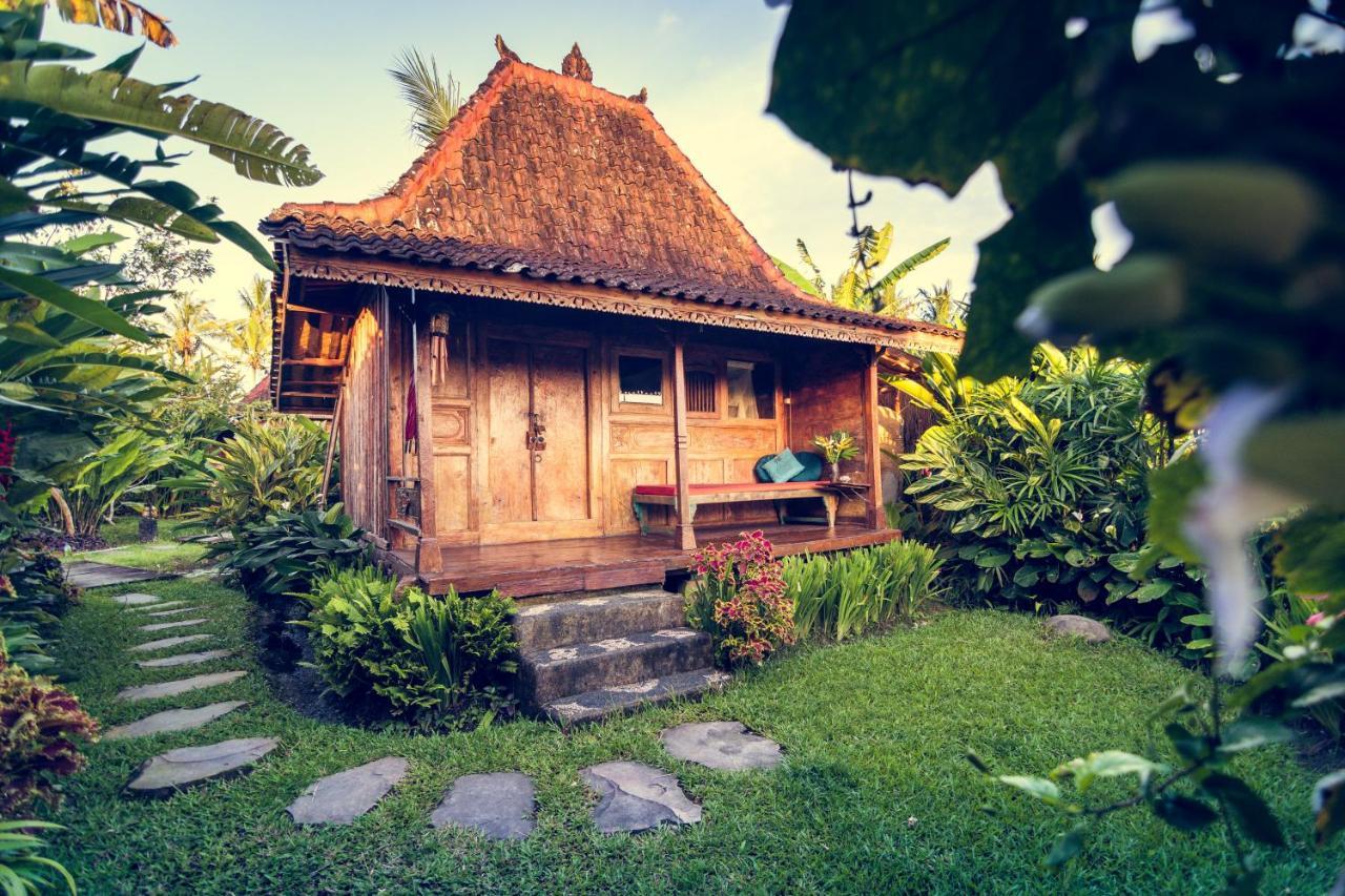 Dragonfly Village Ubud