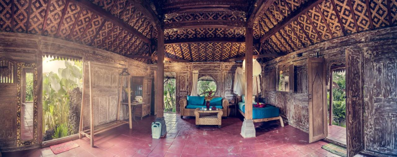 Vakantiepark Dragonfly Village Ubud