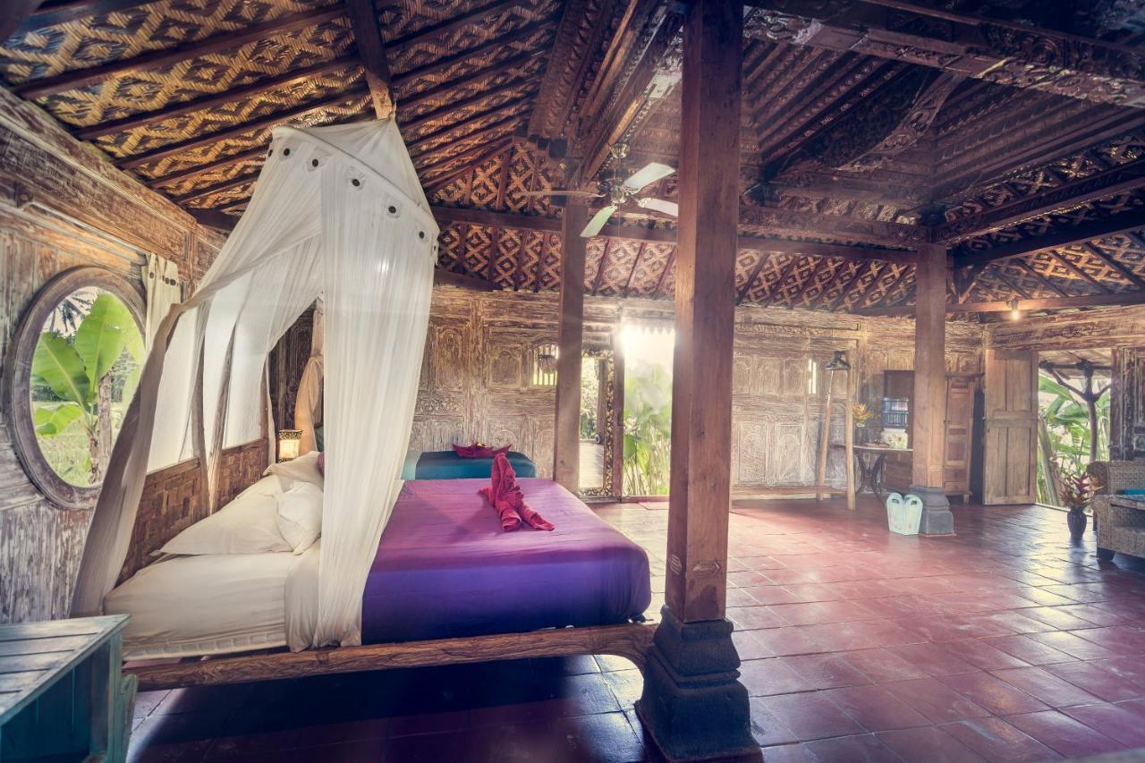 Vakantiepark Dragonfly Village 3*
