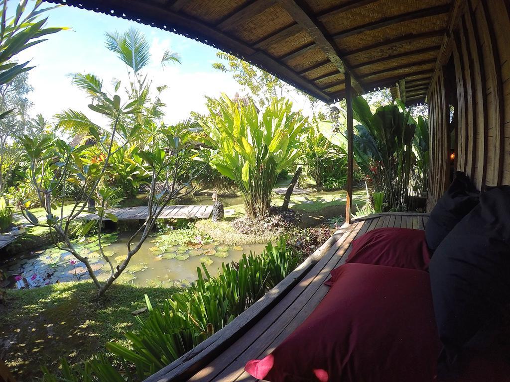 Dragonfly Village Vakantiepark