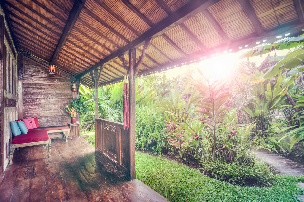 Dragonfly Village Ubud
