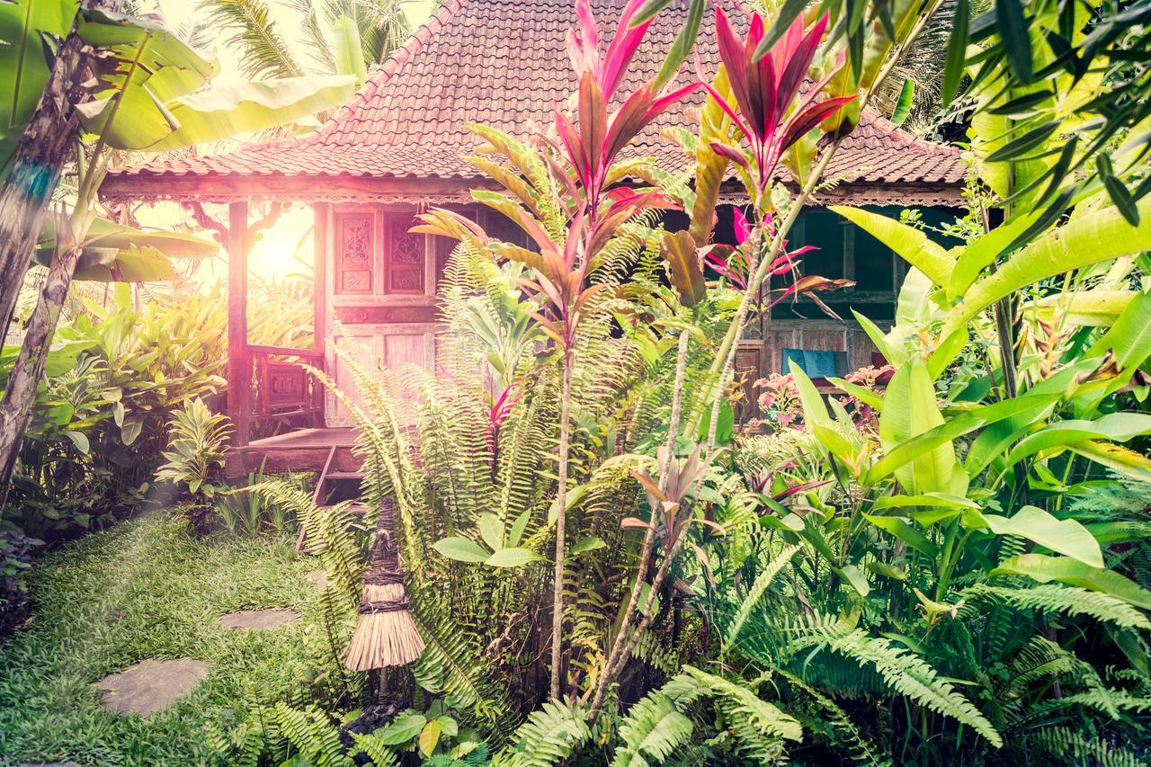Vakantiepark Dragonfly Village 3*
