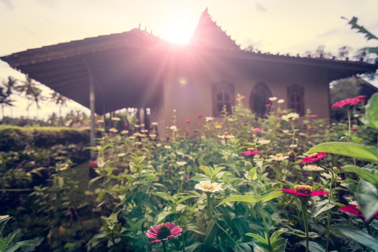 Dragonfly Village Vakantiepark 3*