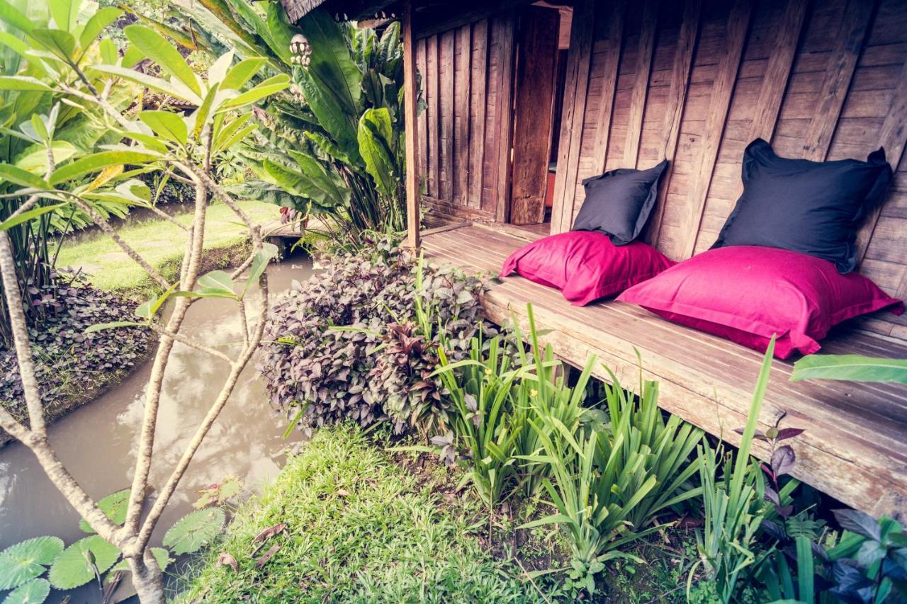 Dragonfly Village 3* Ubud