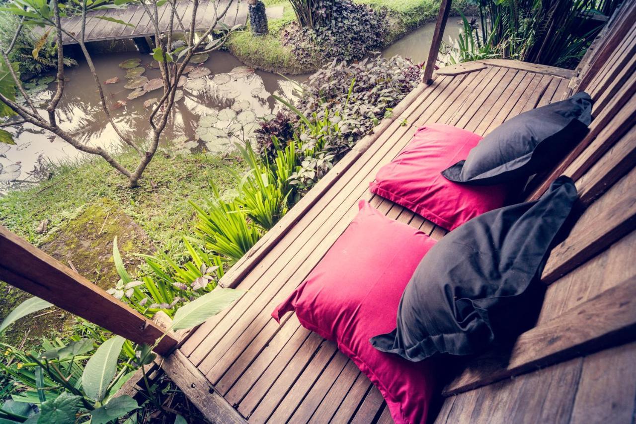 Dragonfly Village 3* Ubud